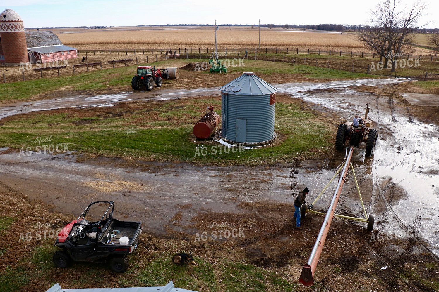 Farmers Setting Up Grain Auger 299282