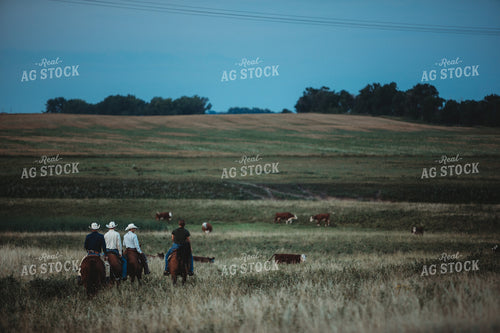 Ranchers on Horses in Pasture at Dusk 6444