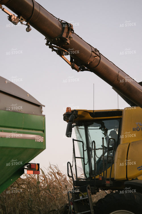 Nebraska Corn Harvest 70012