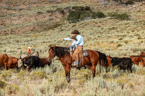Rancher and Ranch Kid on Horseback 188045