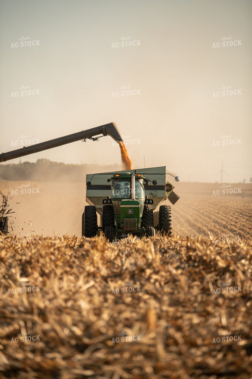 Corn Harvest 76459