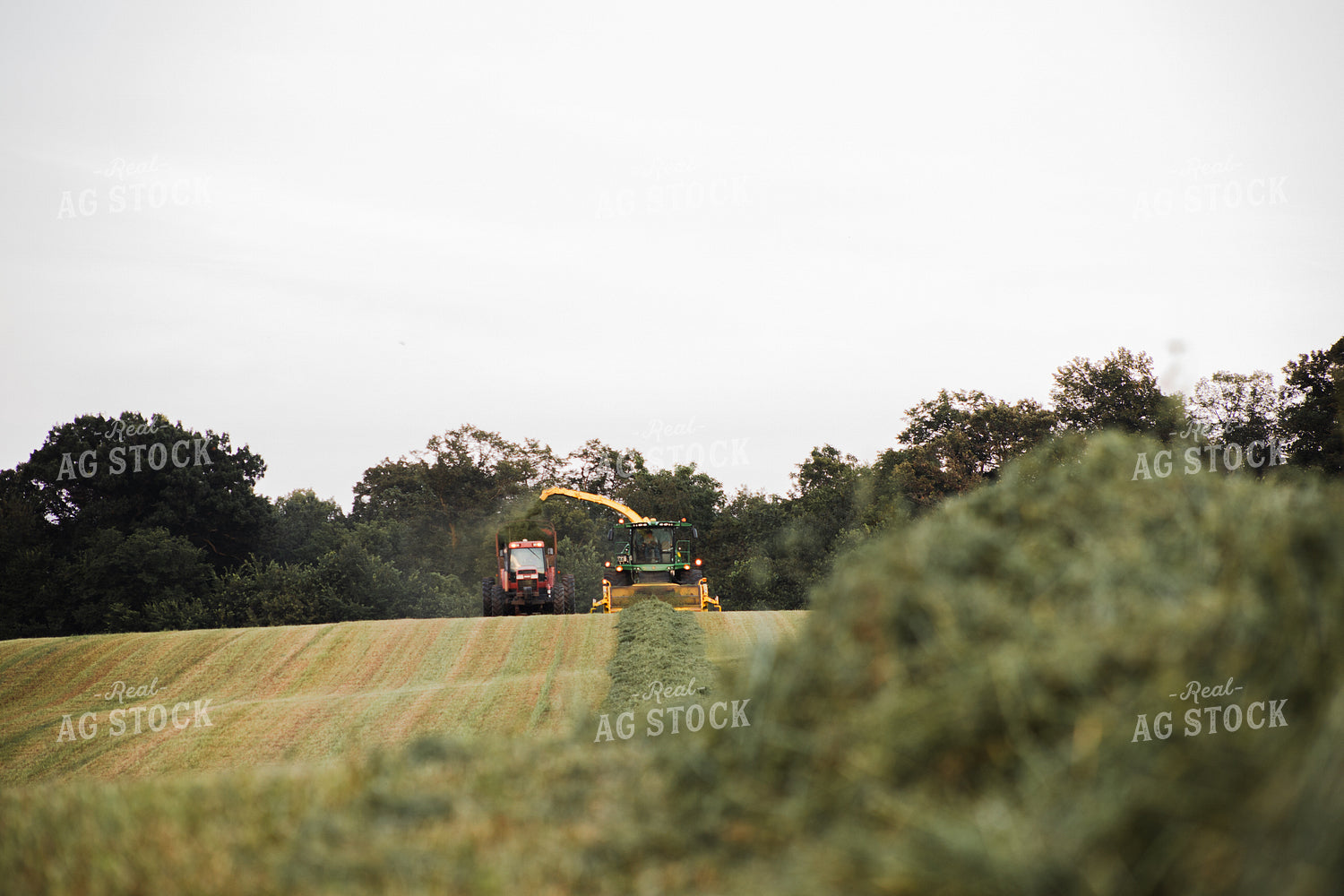 Haylage Harvest 272024