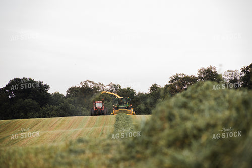 Haylage Harvest 272024
