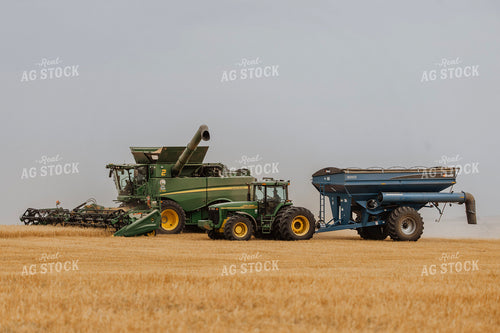 Wheat Harvest 187185