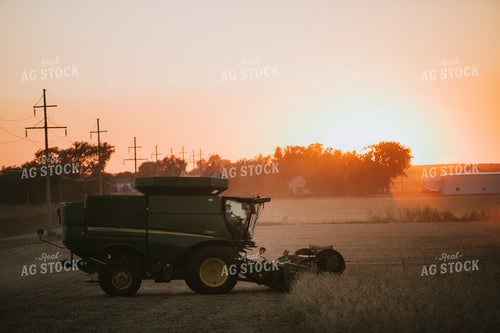 Combine Cutting Soybeans at Sunset 4765