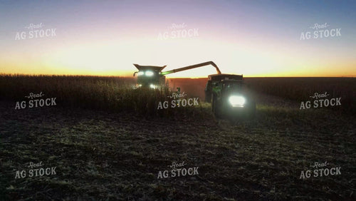 Corn Harvest 65136