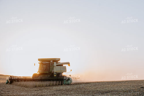 Soybean Harvest 77284