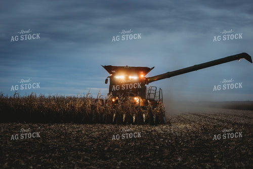 Corn Harvest 8638
