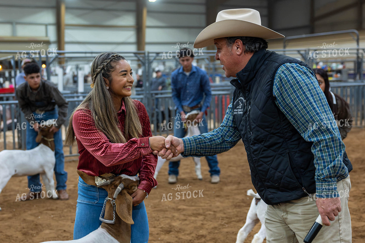 Showing Goats  98045