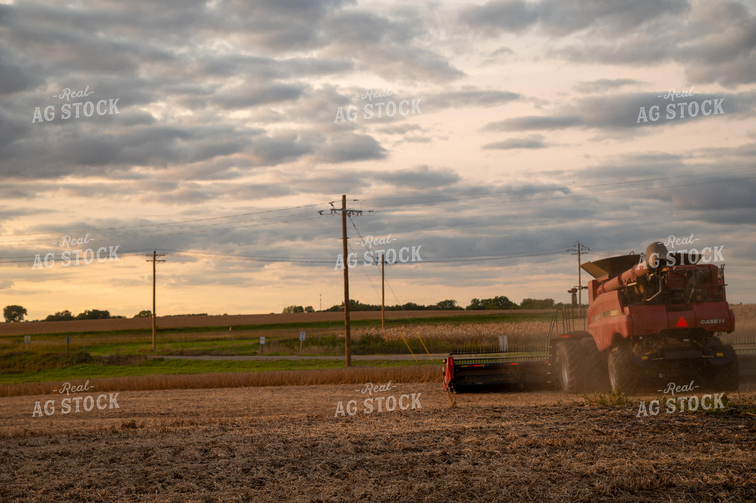 Combine Harvesting Soybeans 25687