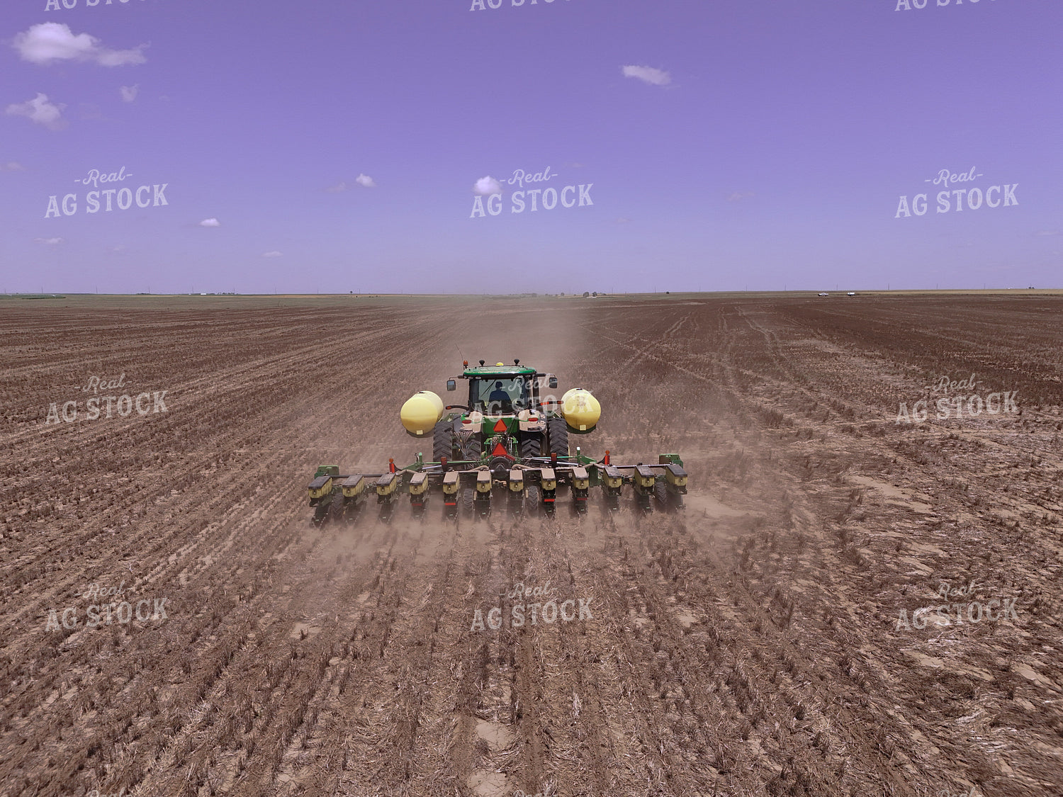 Planting 239269