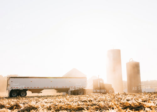 Semi in Field during Corn Harvest 178089