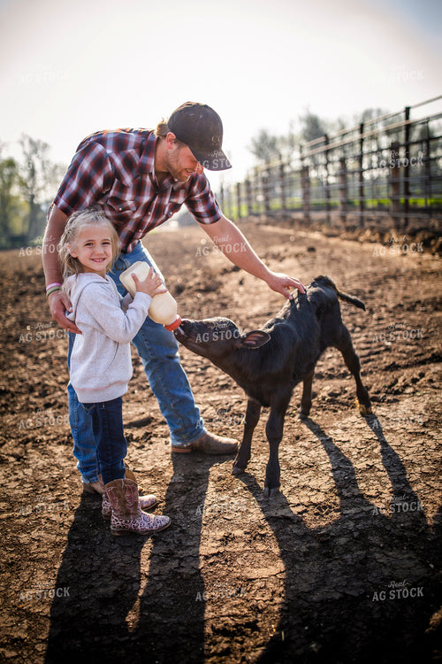 Rancher and Daughter Feeding Calf 285034