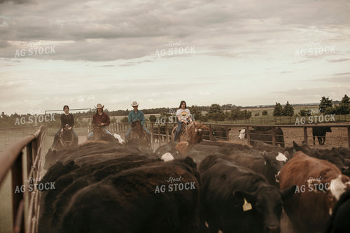 Feedyard 3085