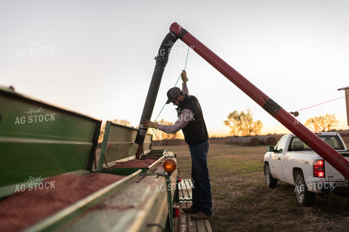 Filling Seed Drill 59091