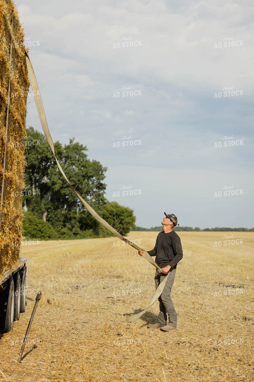 Farmer Securing Straw Bales 296089