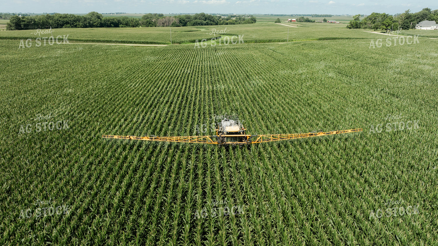 Spraying Corn 274069