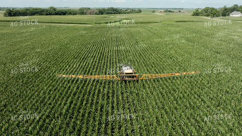 Spraying Corn 274069