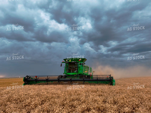 Harvesting Wheat 239600