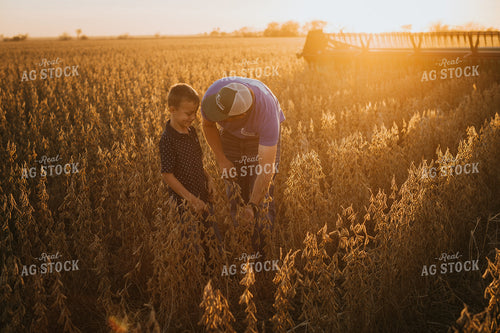 Farmer and Son Touching Soybeans in Field 6975