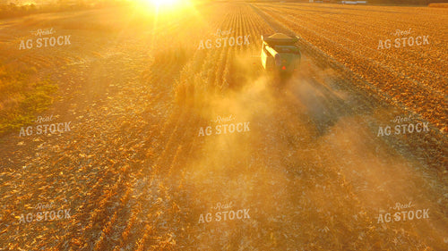 Harvesting Corn at Sunset Drone 85010