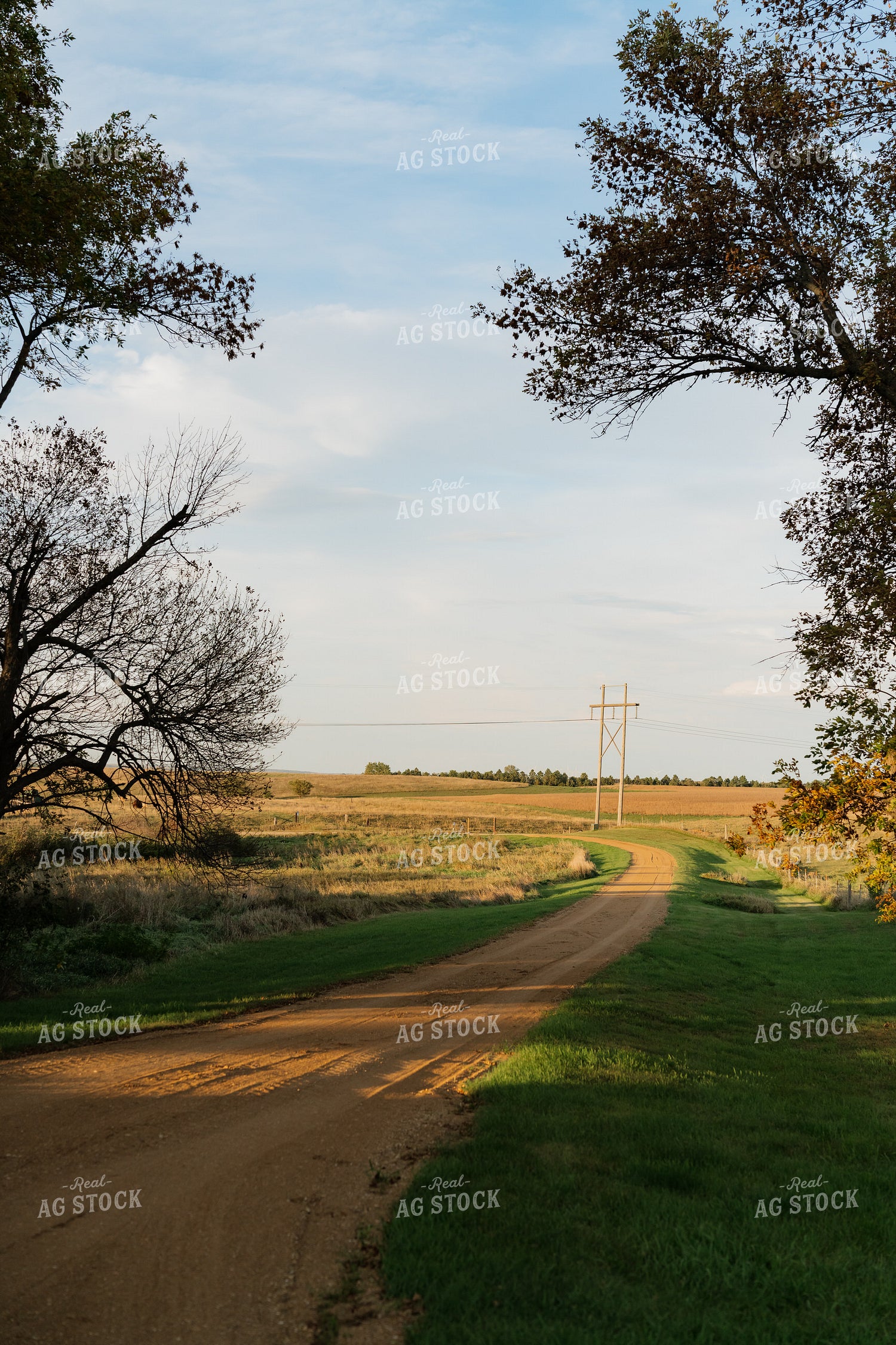 Rural Road 68332