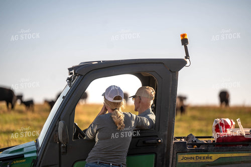 Farmers Moving Cattle with Side by Side 115465