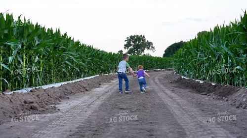 Farm Kids Walking by Corn Field 65913