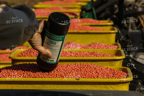 Planting 2883
