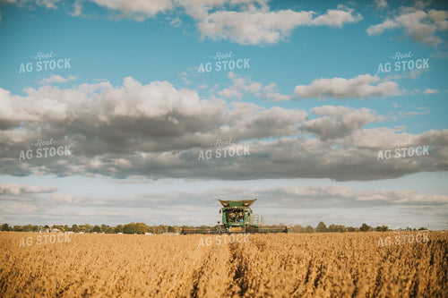 Soybean Harvest 6868