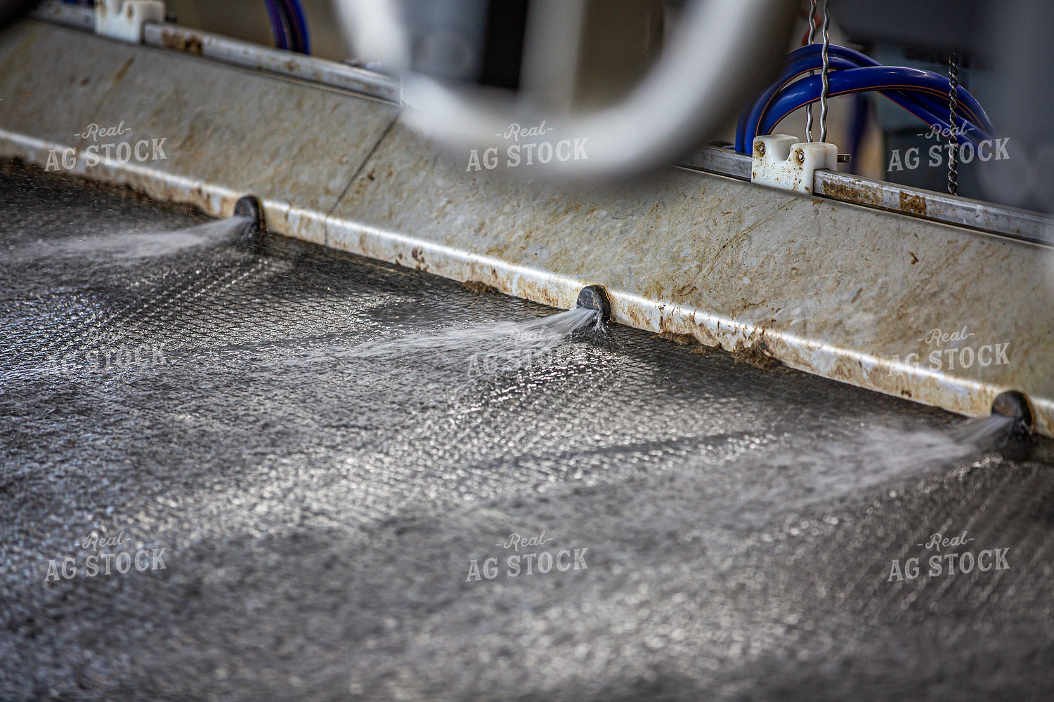 Water Jets in Barn Floor 270224