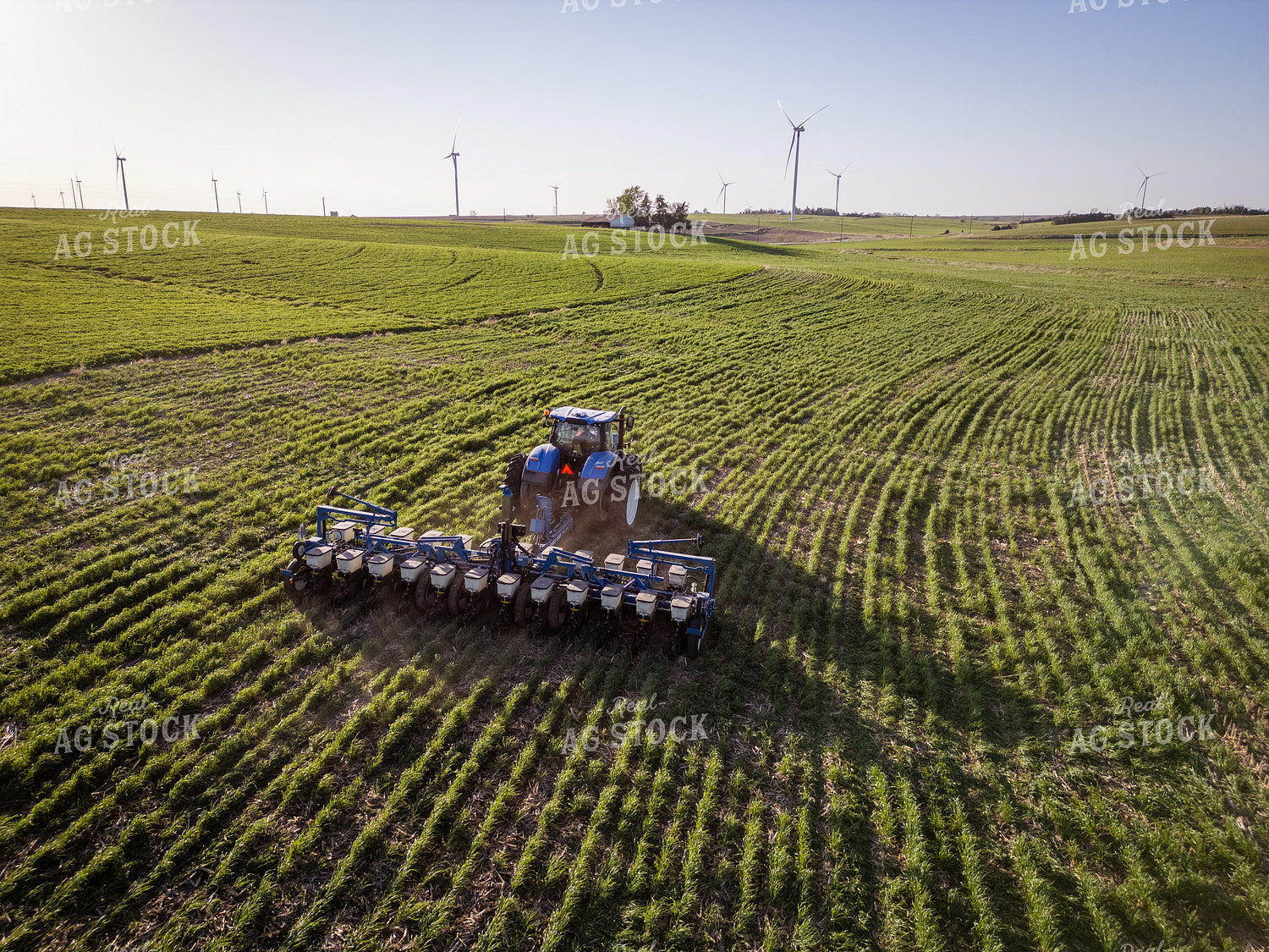 Planting into Cover Crop 268314