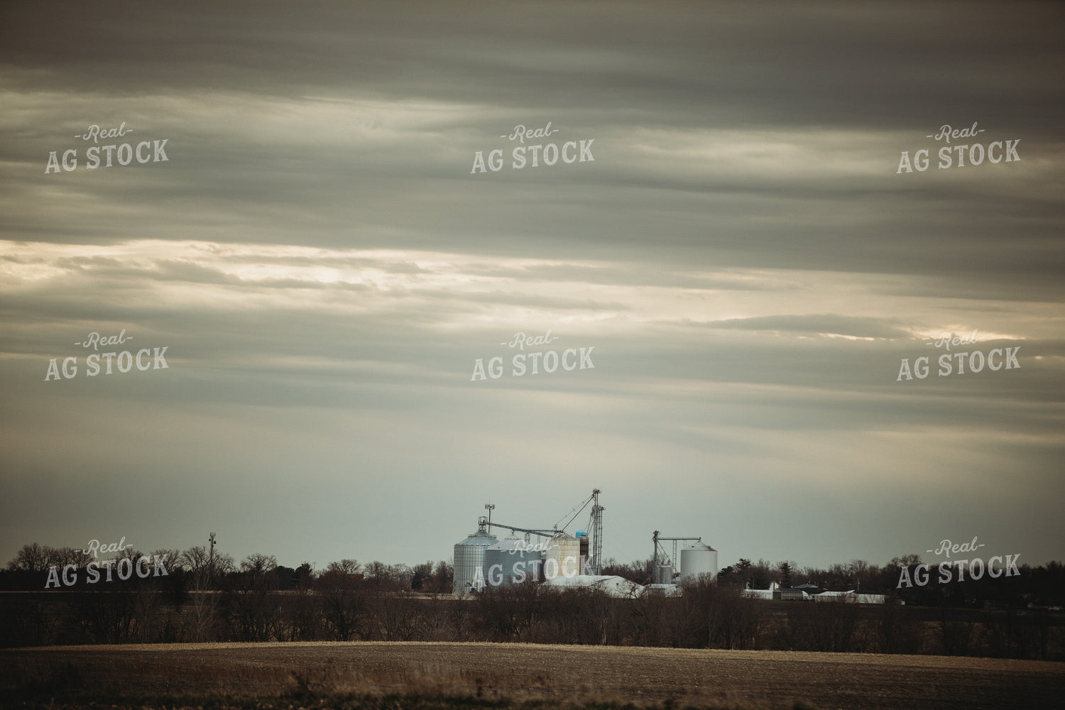 Grain Elevator 3679