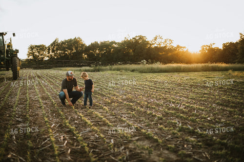 Farmer and Son in Field 6898