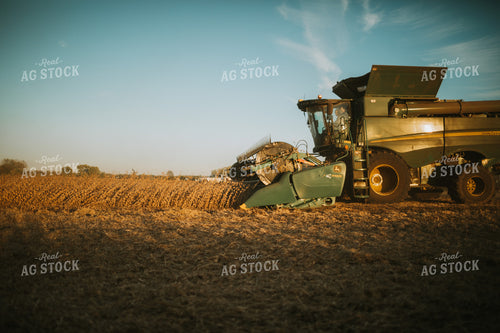 Combine Harvesting Soybeans 5094