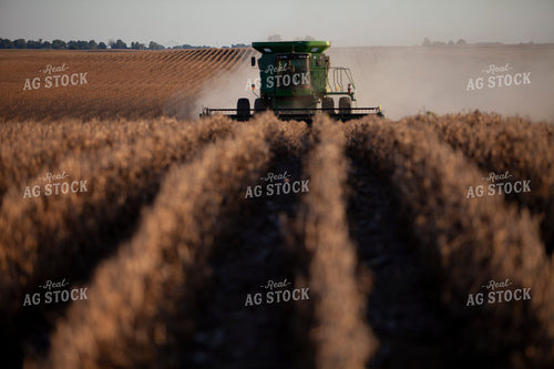 Harvest 1807