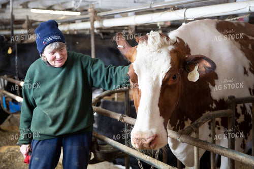 Dairy Farmer with Dairy Cow in Barn 55038