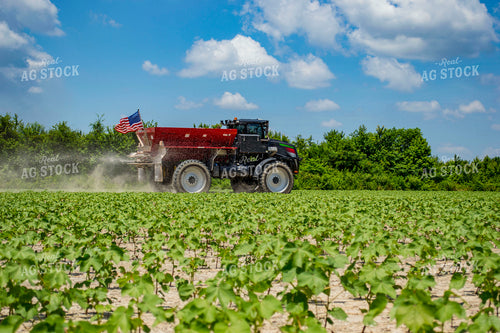 Spreading Dry Fertilizer in Cotton Field 136202