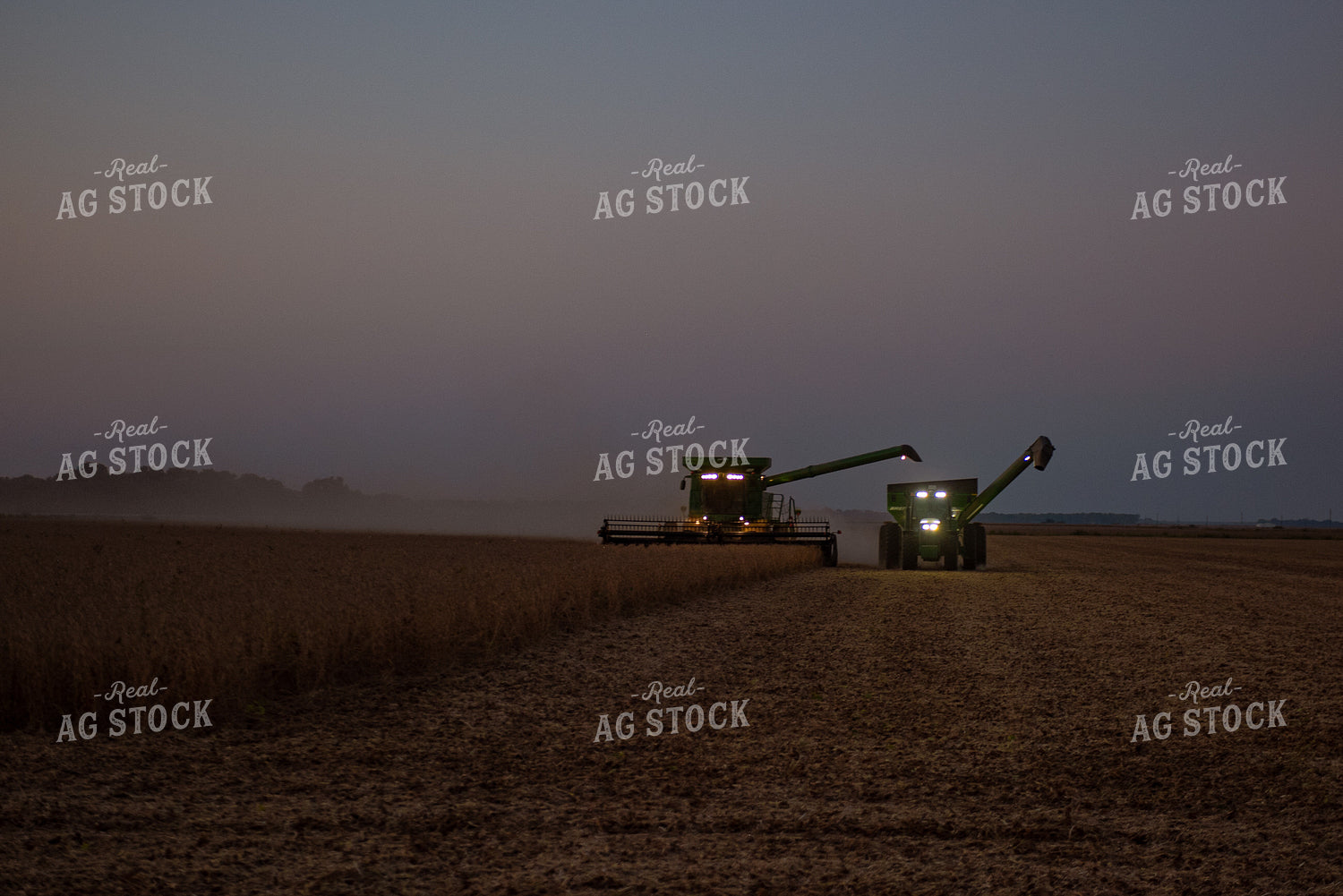 Soybean Harvest 129079