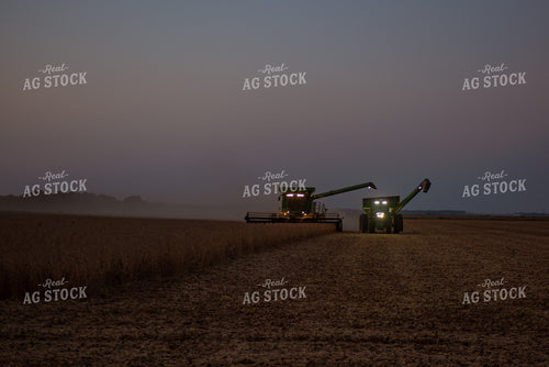 Soybean Harvest 129079