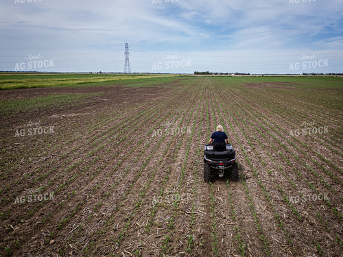 Female Agronomist Scouting Field 67729