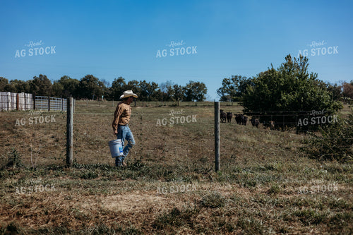 Cattle Producer Moving Cattle 281050