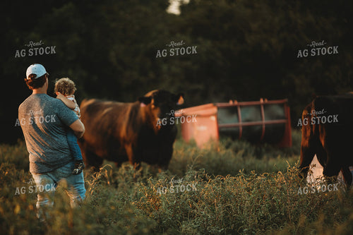 Farm Family with Cows in Pasture 3193