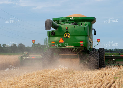 Wheat Harvest 103027