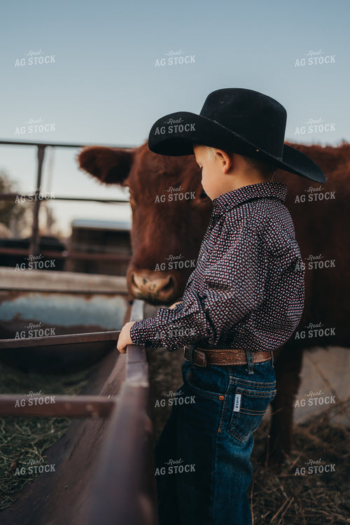 Farm Kid With Cow 61134