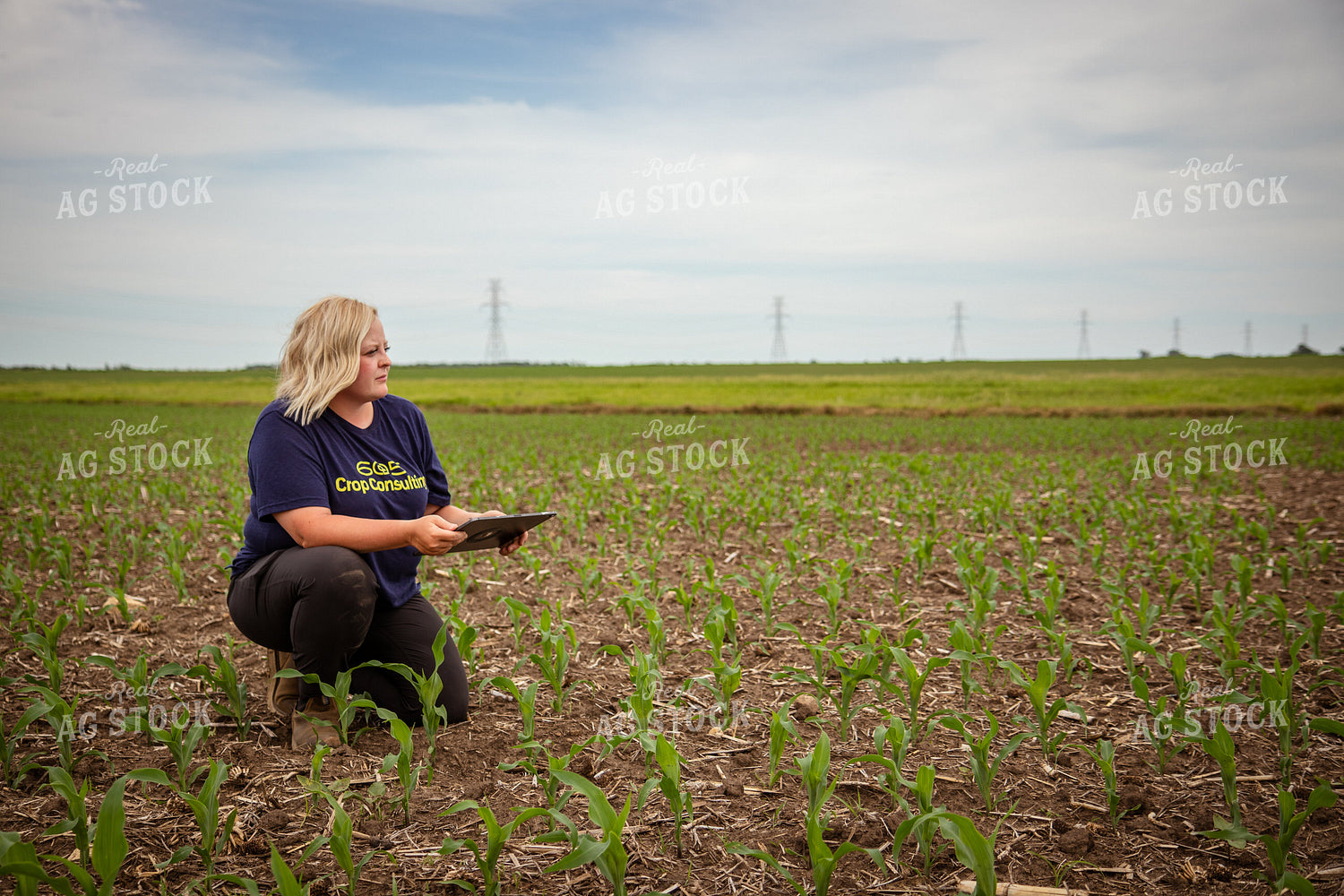 Female Agronomist Scouting Field 67755