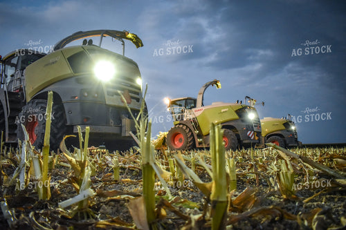 Silage Harvesters at Night 56219
