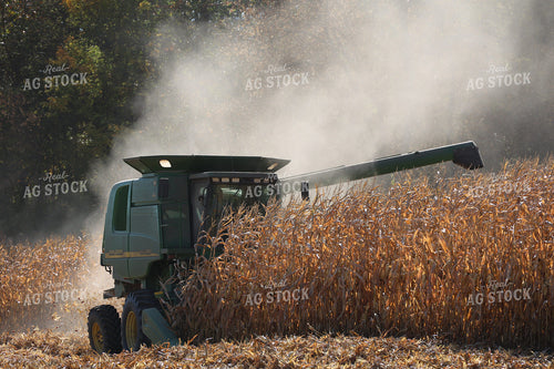 Corn Harvest 194030