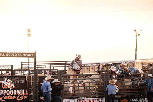 Rodeo 115783