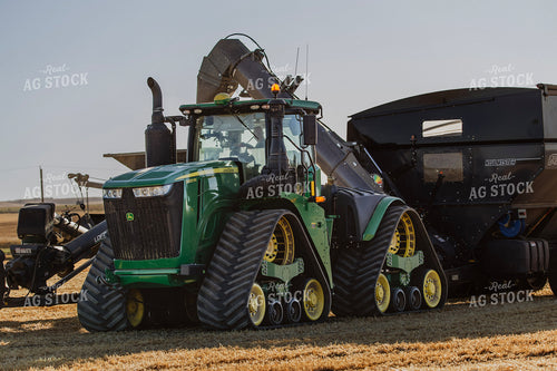 Wheat Harvest 187290